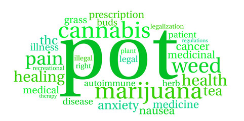Fototapeta premium Pot Word Cloud