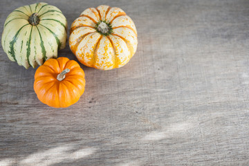 Three gourds on the grey wooden table, selective focus with copy space for the text