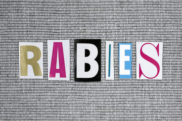 rabies word on grey background