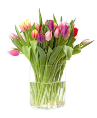 Colourful Tulips in a vase