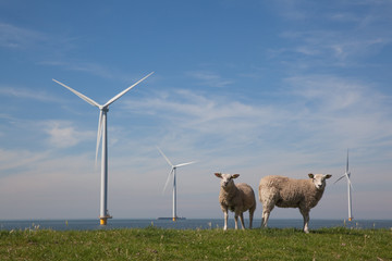 Offshore Windturbines in the IJsselmeer, The Netherlands with st © esbobeldijk