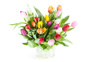 Colourful Tulips in a vase