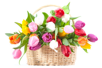 Fototapeta na wymiar Basket full with tulips