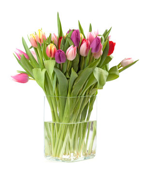 Colourful Tulips in a vase