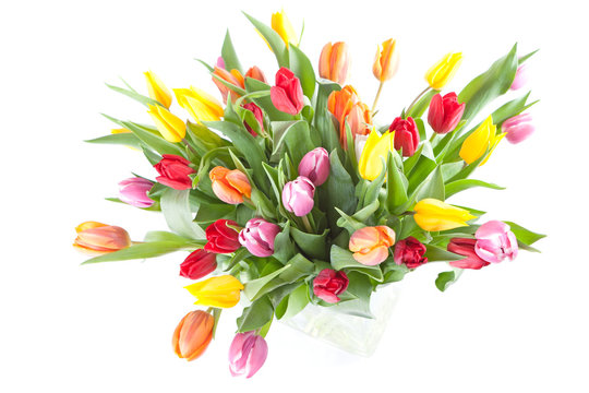 Colourful Tulips in a vase