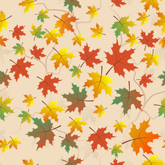 Naklejka na ściany i meble Vector background with autumn leaves.
