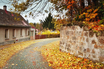 Doksy, Machuv kraj region, Czech republic - october 29, 2016: autumnal Neruda  street with leafless colored leaves with Bezdez castle in the background