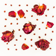 Fall. Autumn composition. dried flowers. Square, top view, flat lay