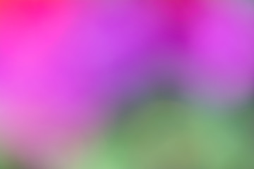 Abstract photo; blurred fuchsia background  with beautiful bokeh; red, greens and purples