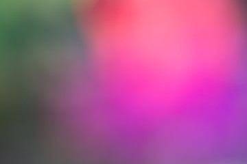 Abstract photo; blurred fuchsia background  with beautiful bokeh; red, greens and purples