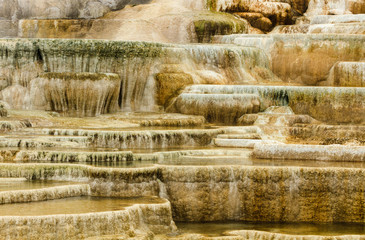 Geyser Terrace Patterns at Mammoth Hot Springs
