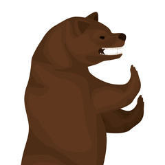 Plakat color image with half body bear vector illustration