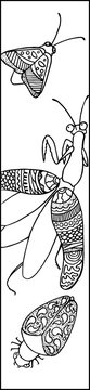 Cute mantis with bug and moth ink drawing. Mantis vector illustration for coloring or bookmark.