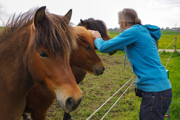 man with long hair speaking horses on meadow