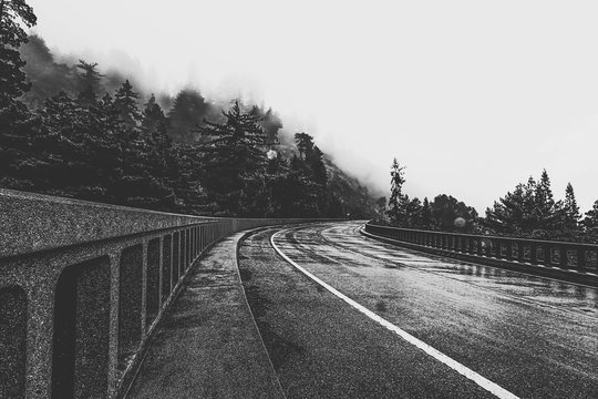 Fototapeta bridge in the forest in black and white