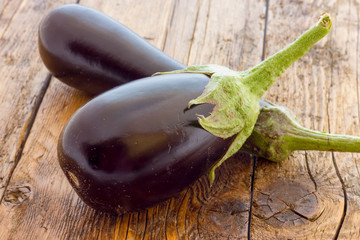 Biological eggplants