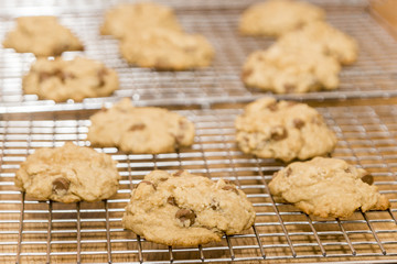 Fresh baked soft chocolate chip cookies on a cooling rack