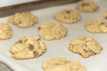 Fresh baked chocolate chip cookies fresh out of the oven on a ba
