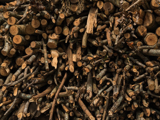 Pile of wood