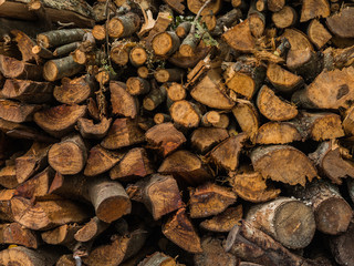 Fototapeta premium Pile of wood