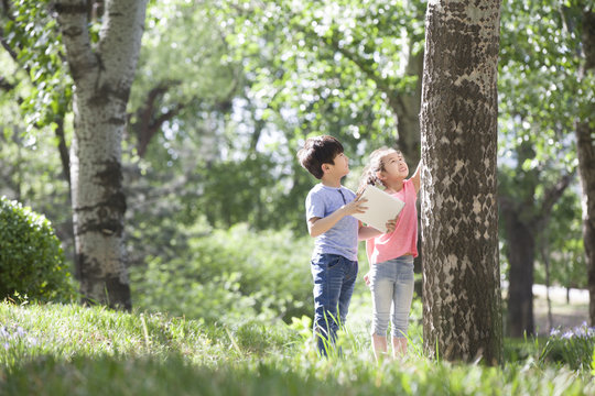 Children with digital tablet looking at tree trunk 