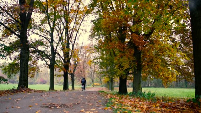 Cyclist in the park in autumn
