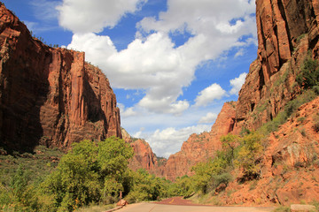 Zion canyon national park in USA