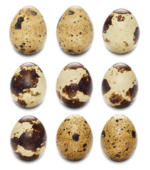 Obraz premium Quail eggs isolated on white.