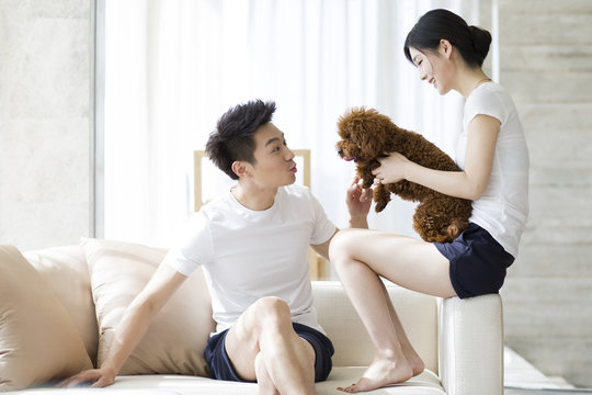 Young couple playing with a pet poodle at home