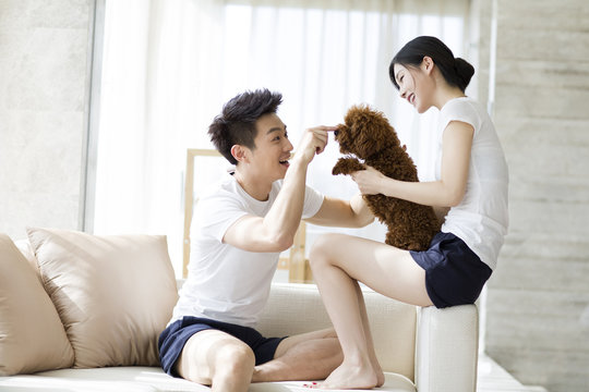 Young couple playing with a pet poodle at home