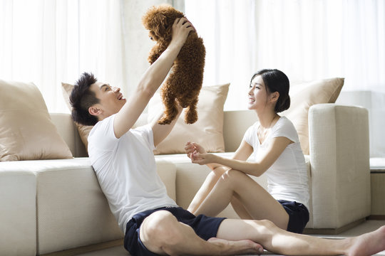 Young couple playing with a pet poodle at home