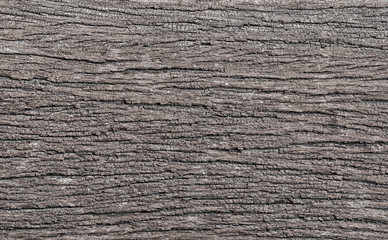 Obraz premium Old wood texture.