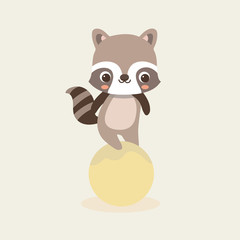 Cute Raccoon - Vector
