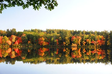 Wall murals Autumn autumn colorful trees reflecting in tranquil lake under sky