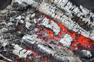firewood ash after fire