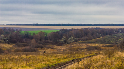 Fototapeta na wymiar late autumn landscape with a country road and the black crows