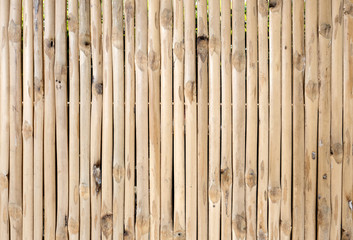 Dry bamboo fence background