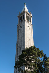 Fototapeta na wymiar The Campanile in Berkeley, California 