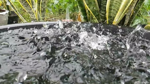 Heavy rain dropping on water in black water container. Slow motion.  extreme closeup.