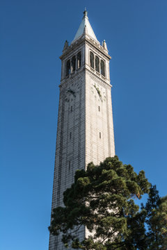 The Campanile In Berkeley, California
