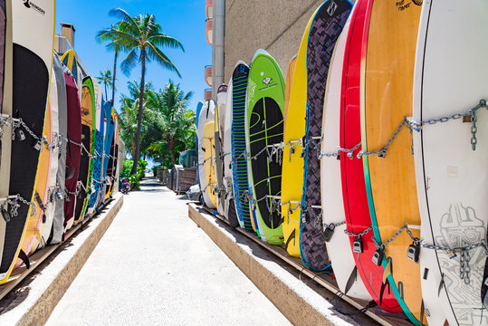 Multicolored surfboards 