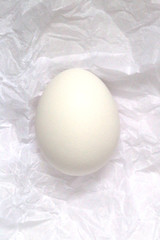 white egg on a white crumpled paper 2