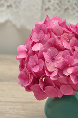 A pink Hydrangea in a blue vase