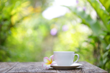 white cup and frangipani flower at outdoor