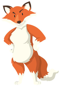 orange fox standing confidently clip art preview