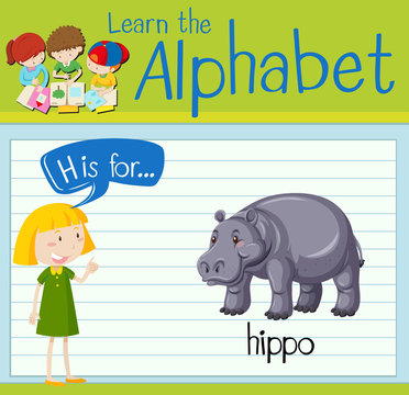 Flashcard letter H is for hippo