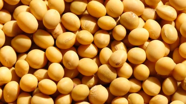 Rotate mass soybeans
