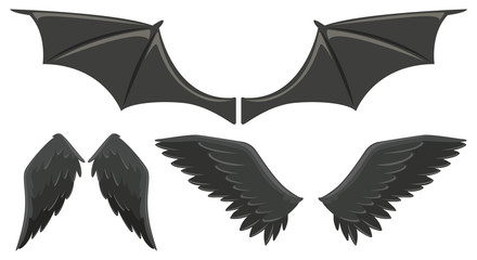 Three set of black wings