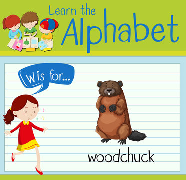 Flashcard letter W is for woodchuck