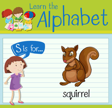 Flashcard letter S is for squirrel
